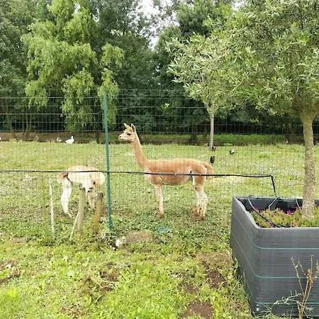 Vakantiehuis Belle Quercynoise Piscine Jacuzzi Partages *