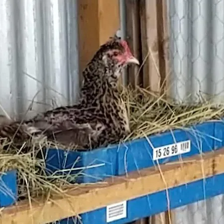 Vakantiehuis Belle Quercynoise Piscine Jacuzzi Partages *