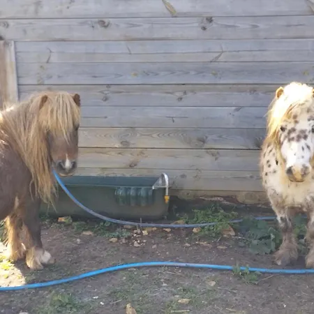 Belle Quercynoise Piscine Jacuzzi Partages Vakantiehuis *