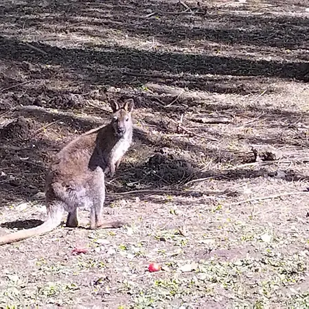 Vakantiehuis Belle Quercynoise Piscine Jacuzzi Partages Septfonds