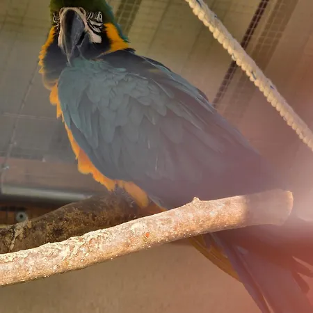 Belle Quercynoise Piscine Jacuzzi Partages Septfonds