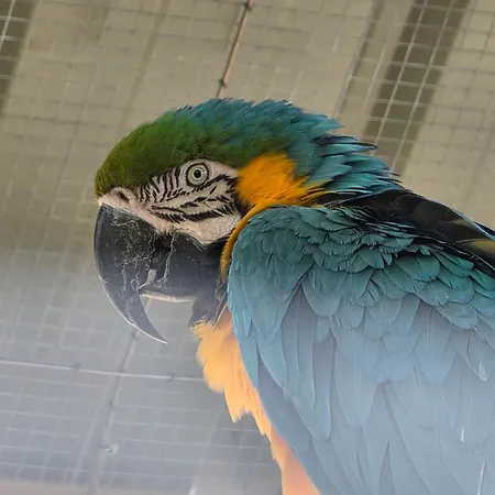 Vakantiehuis Belle Quercynoise Piscine Jacuzzi Partages *