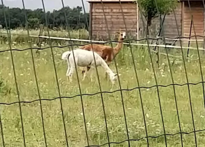 Belle Quercynoise Piscine Jacuzzi Partagés Сasa de vacaciones Septfonds