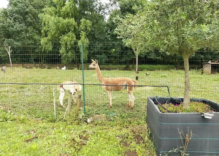 Сasa de vacaciones Belle Quercynoise Piscine Jacuzzi Partagés *