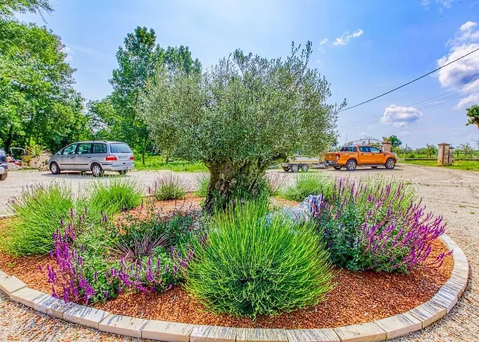 Сasa de vacaciones Belle Quercynoise Piscine Jacuzzi Partagés *