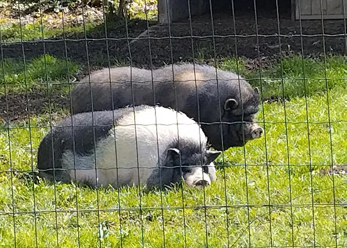 Сasa de vacaciones Belle Quercynoise Piscine Jacuzzi Partagés Septfonds