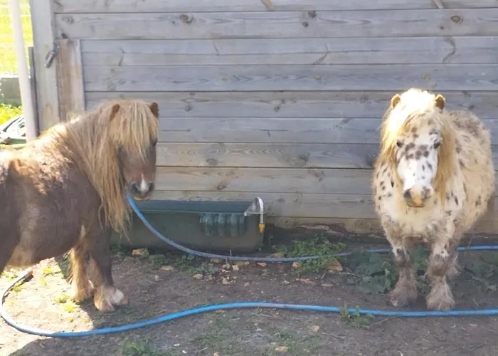 Belle Quercynoise Piscine Jacuzzi Partagés Сasa de vacaciones *