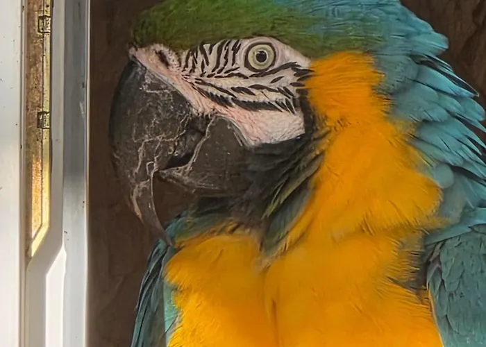 Сasa de vacaciones Belle Quercynoise Piscine Jacuzzi Partagés *