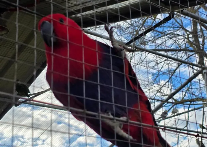 Belle Quercynoise Piscine Jacuzzi Partagés Septfonds