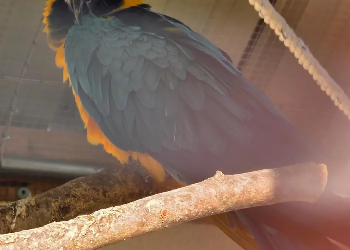 Belle Quercynoise Piscine Jacuzzi Partagés Septfonds