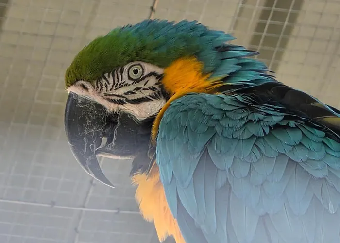 Сasa de vacaciones Belle Quercynoise Piscine Jacuzzi Partagés *