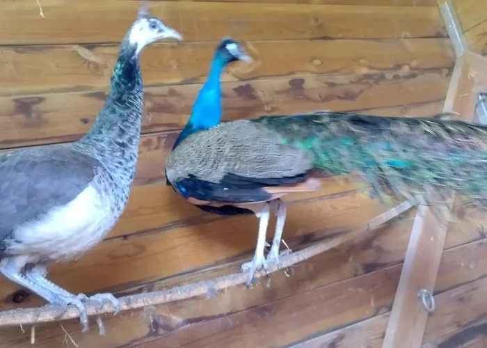 Сasa de vacaciones Belle Quercynoise Piscine Jacuzzi Partagés