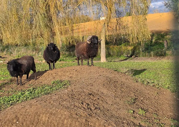 Belle Quercynoise Piscine Jacuzzi Partagés Сasa de vacaciones *
