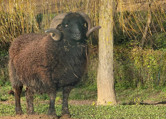 Сasa de vacaciones Belle Quercynoise Piscine Jacuzzi Partagés *