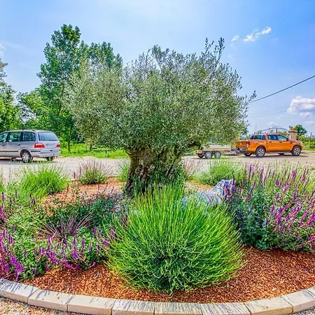 בית נופש Belle Quercynoise Piscine Jacuzzi Partages *