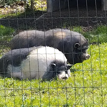 בית נופש Belle Quercynoise Piscine Jacuzzi Partages Septfonds