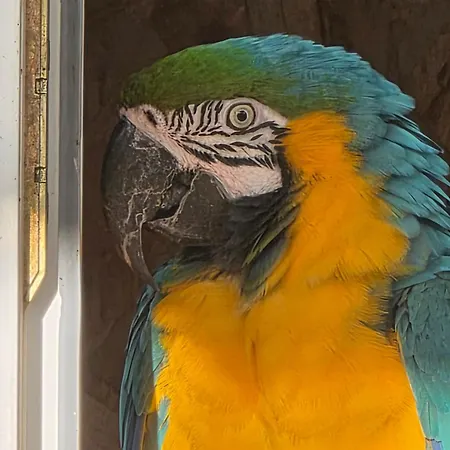 בית נופש Belle Quercynoise Piscine Jacuzzi Partages *