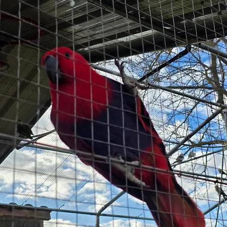 Belle Quercynoise Piscine Jacuzzi Partages Septfonds