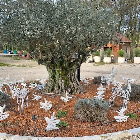 Belle Quercynoise Piscine Jacuzzi Partages *