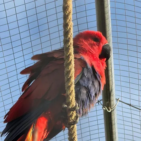 Belle Quercynoise Piscine Jacuzzi Partages