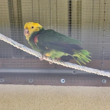 בית נופש Belle Quercynoise Piscine Jacuzzi Partages Septfonds