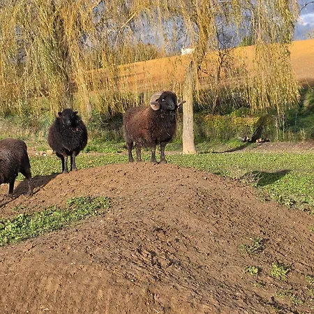 Belle Quercynoise Piscine Jacuzzi Partages בית נופש *