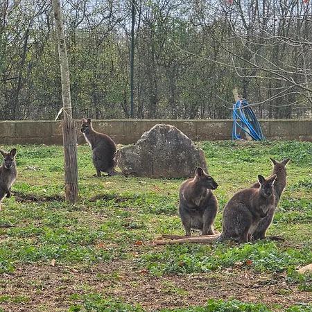 בית נופש Belle Quercynoise Piscine Jacuzzi Partages Septfonds