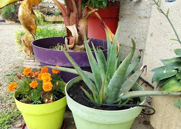 Belle Quercynoise Piscine Jacuzzi Partages Ferienhaus Septfonds