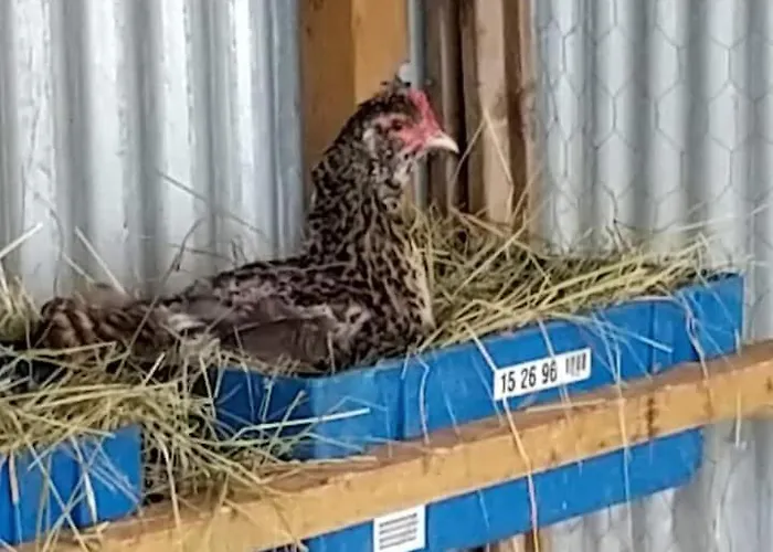 Ferienhaus Belle Quercynoise Piscine Jacuzzi Partages *