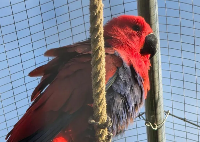 Belle Quercynoise Piscine Jacuzzi Partages