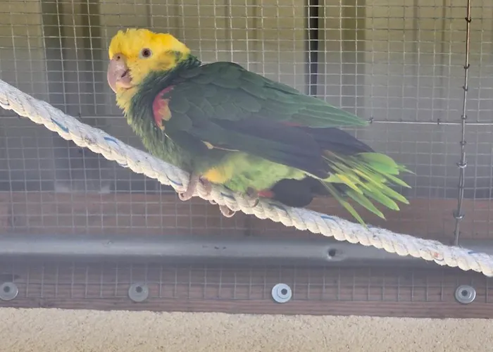 Ferienhaus Belle Quercynoise Piscine Jacuzzi Partages Septfonds