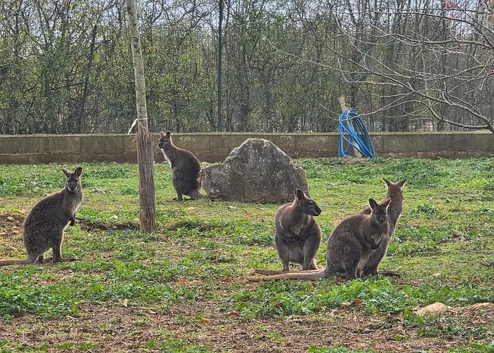 Ferienhaus Belle Quercynoise Piscine Jacuzzi Partages Septfonds